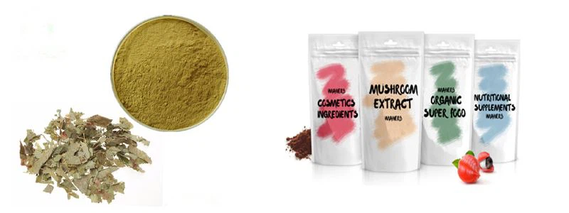 epimedium extract powder1