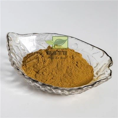 Extract din semințe de arpagic chinezesc